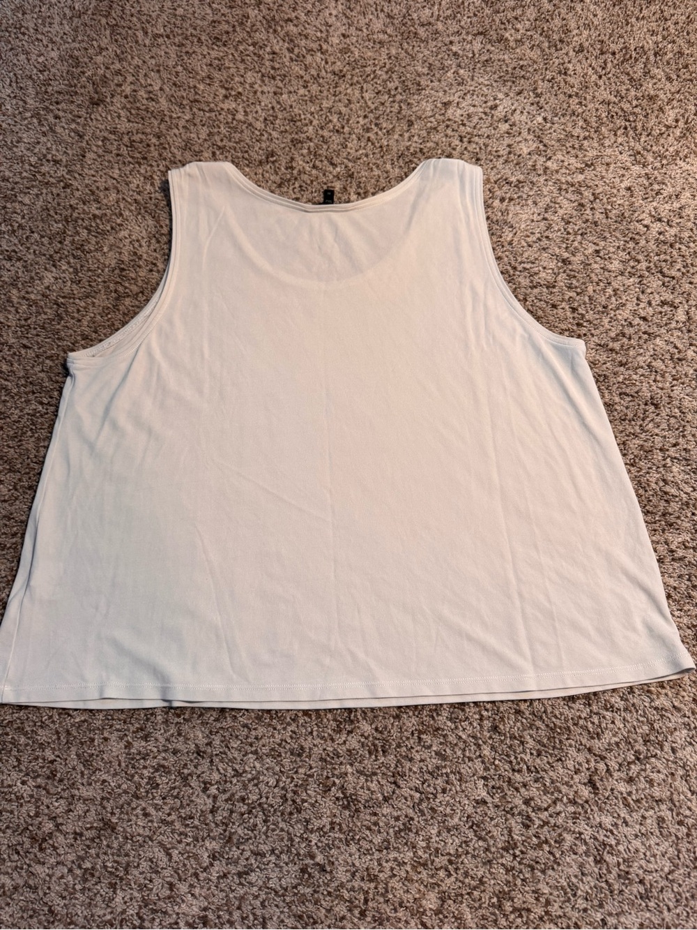 Eileen Fisher Beige Silk Sleeveless Scoop Neck Tank Top - XL - Picture 4 of 6
